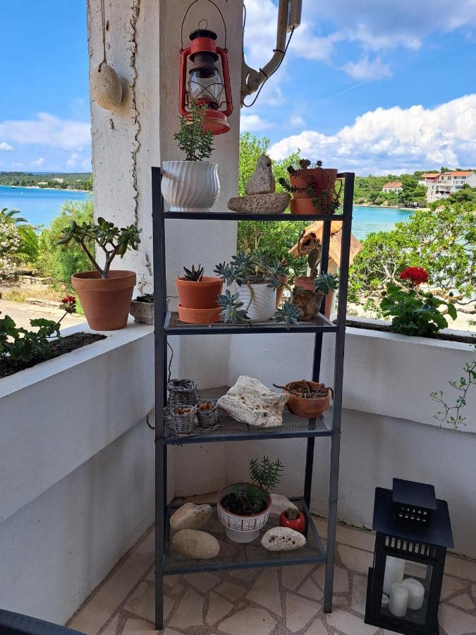Guesthouse Tamara Lovište Exteriér fotografie