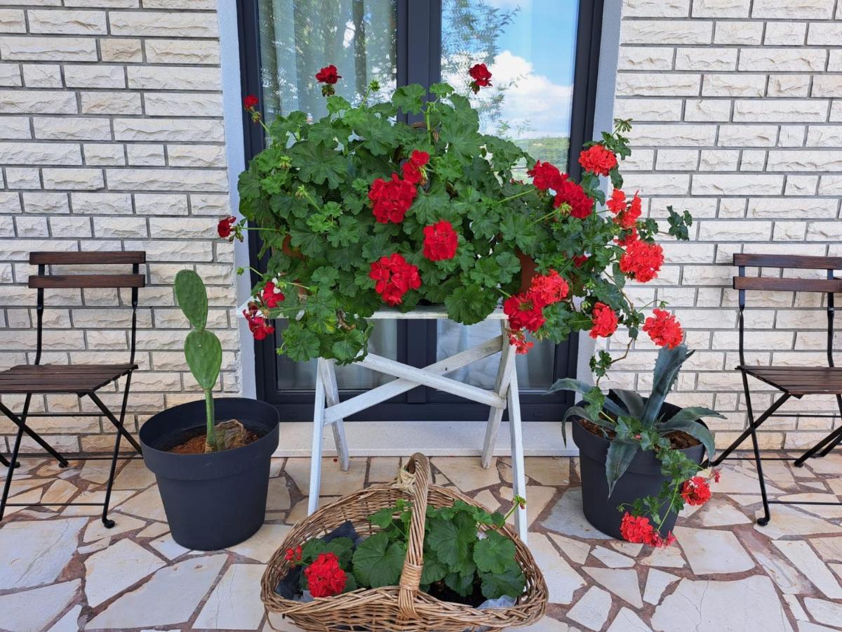 Guesthouse Tamara Lovište Exteriér fotografie