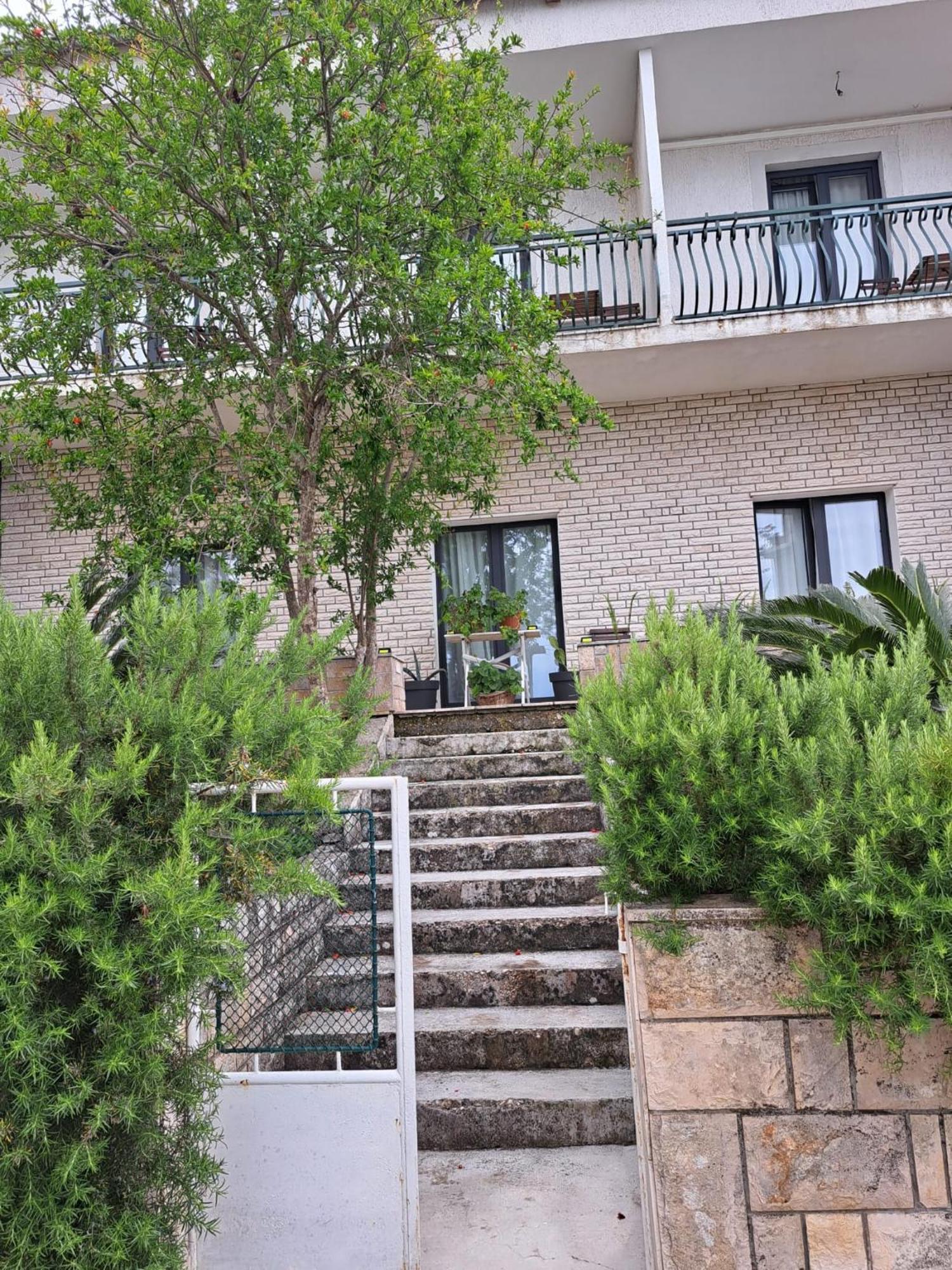 Guesthouse Tamara Lovište Exteriér fotografie
